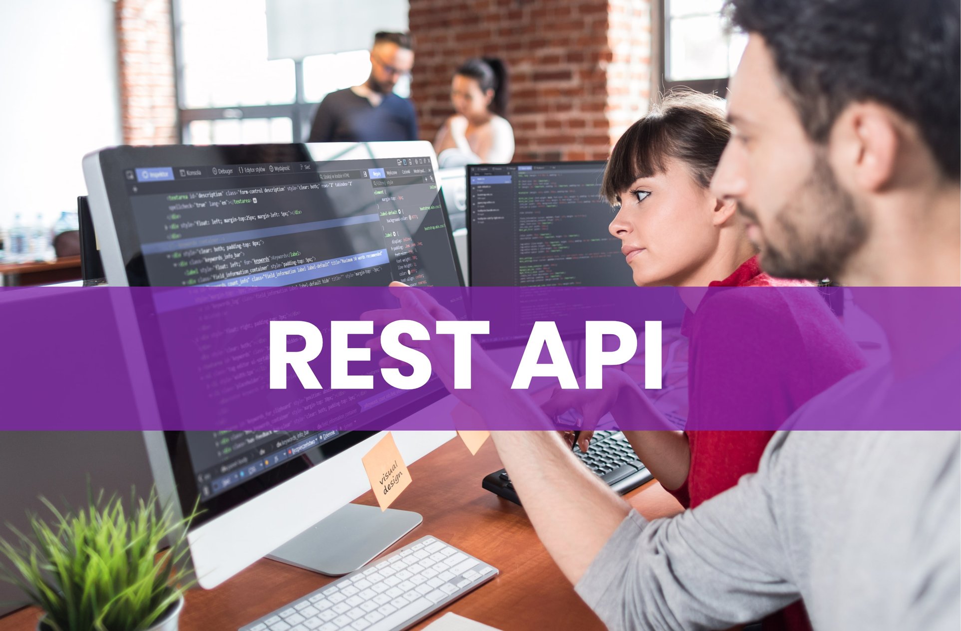 Everything You Need to Know about REST API