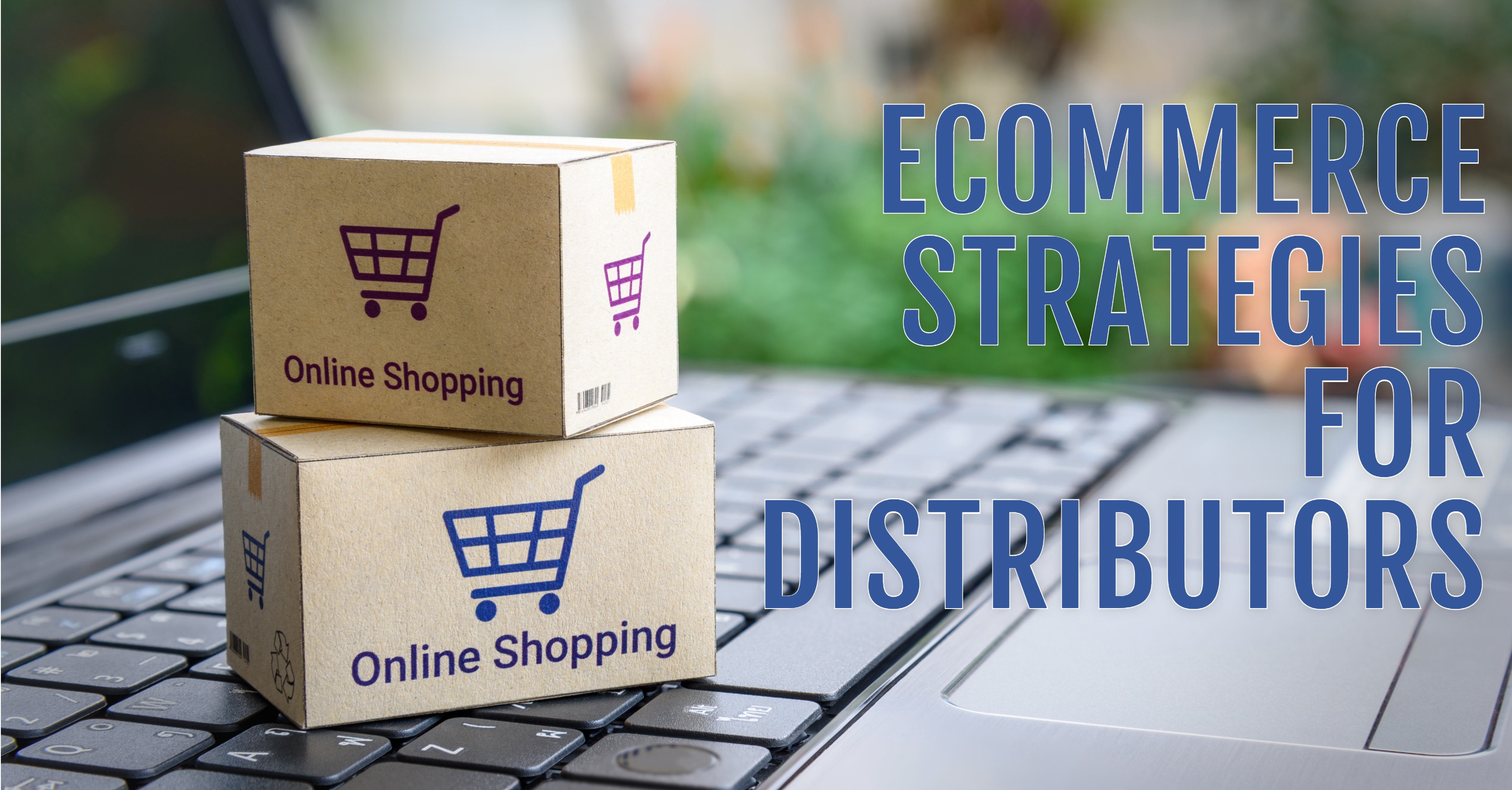 Distributors Must Adopt eCommerce Strategies