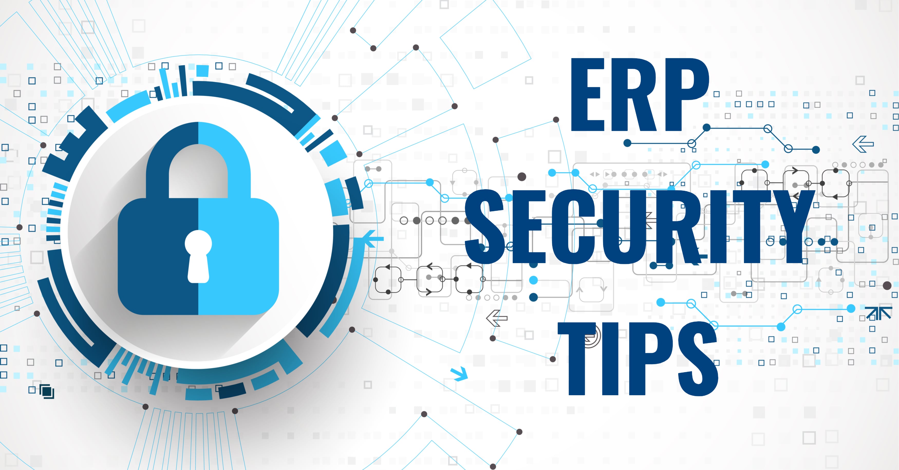 ERP Security Tips