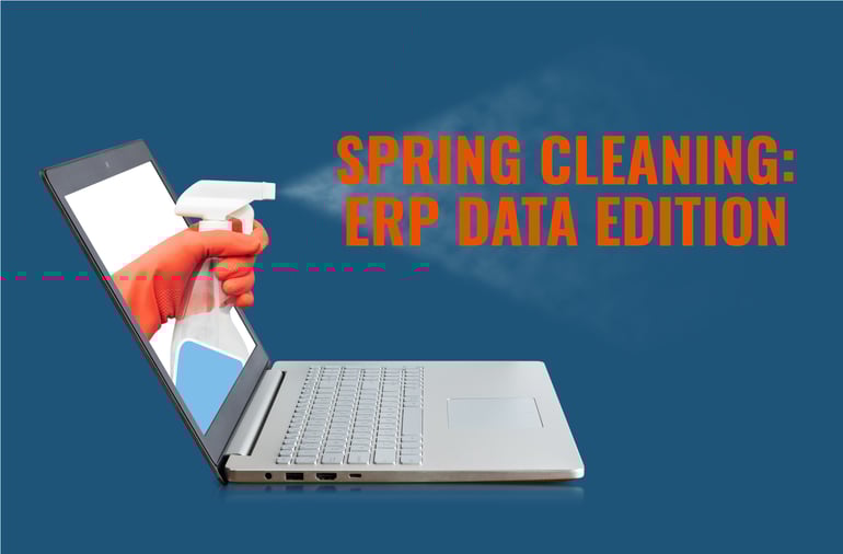 Spring Cleaning ERP Data