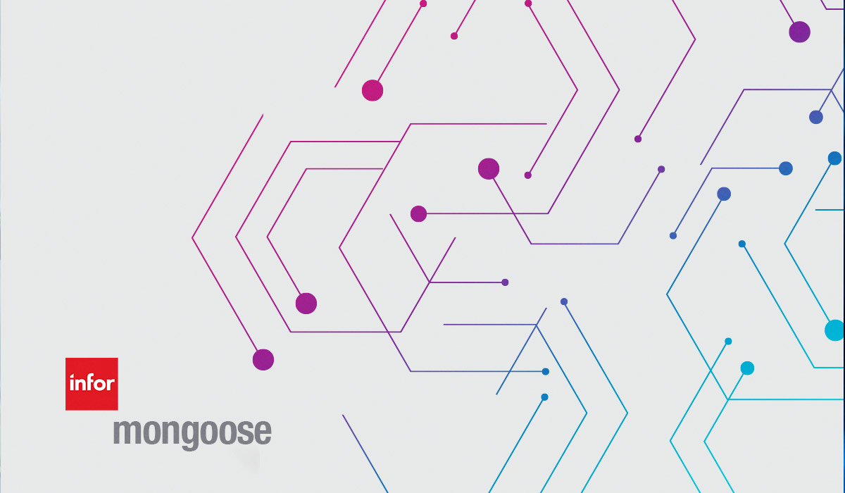 Customize Applications Efficiently with Infor Mongoose