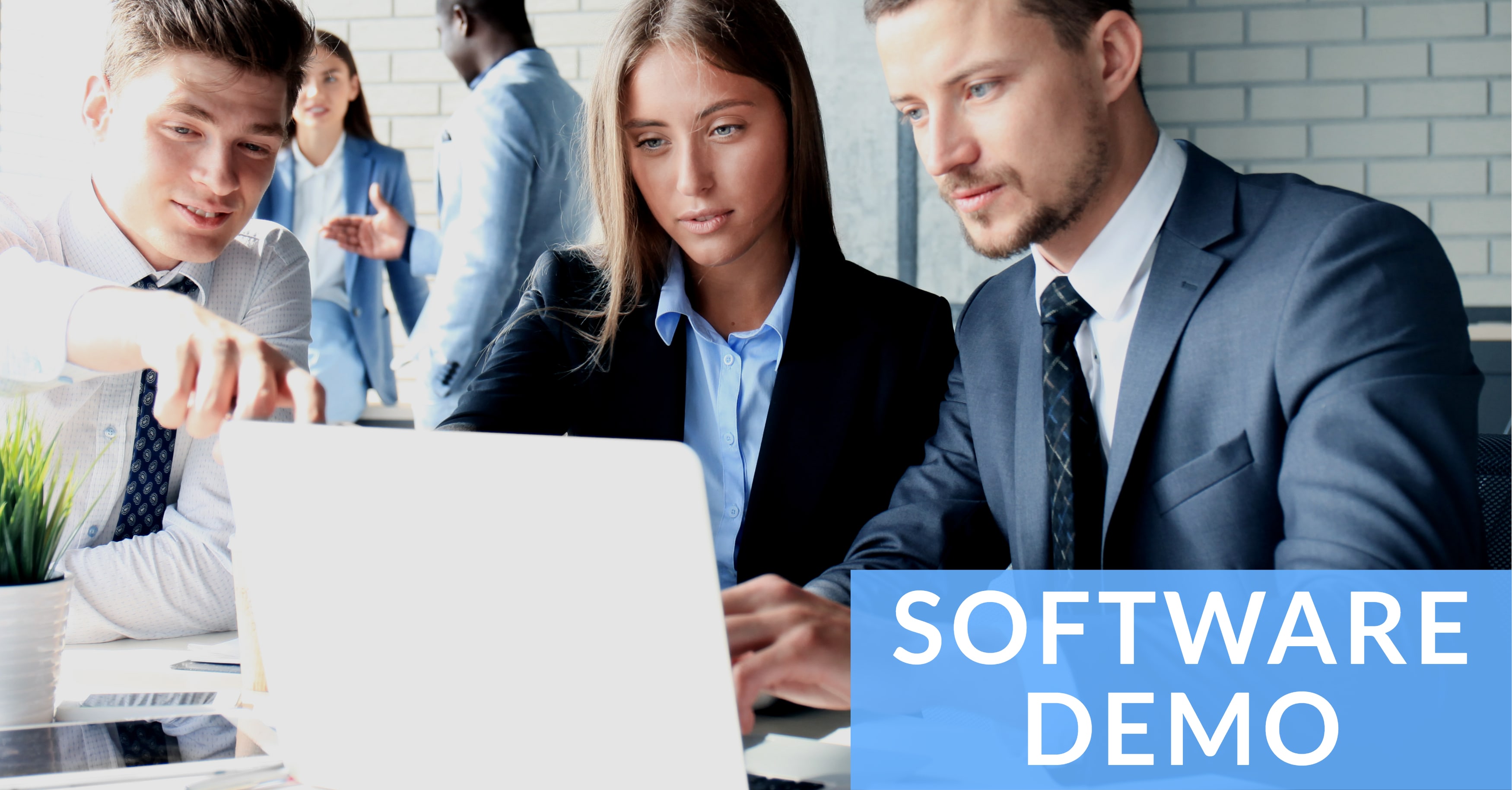 Get the Most from Your Software Demo